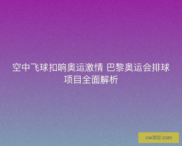 空中飞球扣响奥运激情 巴黎奥运会排球项目全面解析
