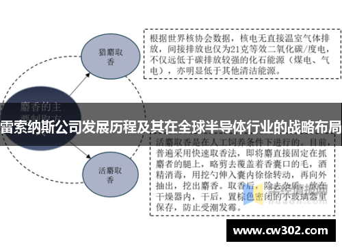 雷索纳斯公司发展历程及其在全球半导体行业的战略布局