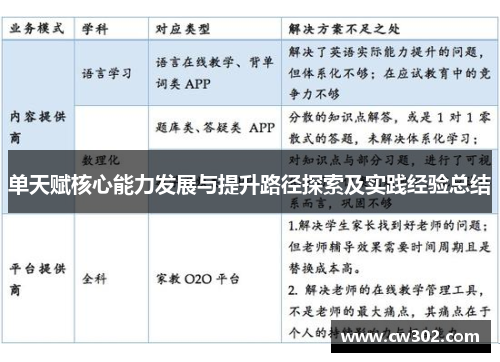 单天赋核心能力发展与提升路径探索及实践经验总结