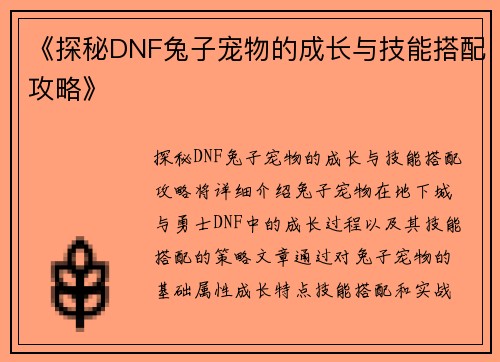 《探秘DNF兔子宠物的成长与技能搭配攻略》